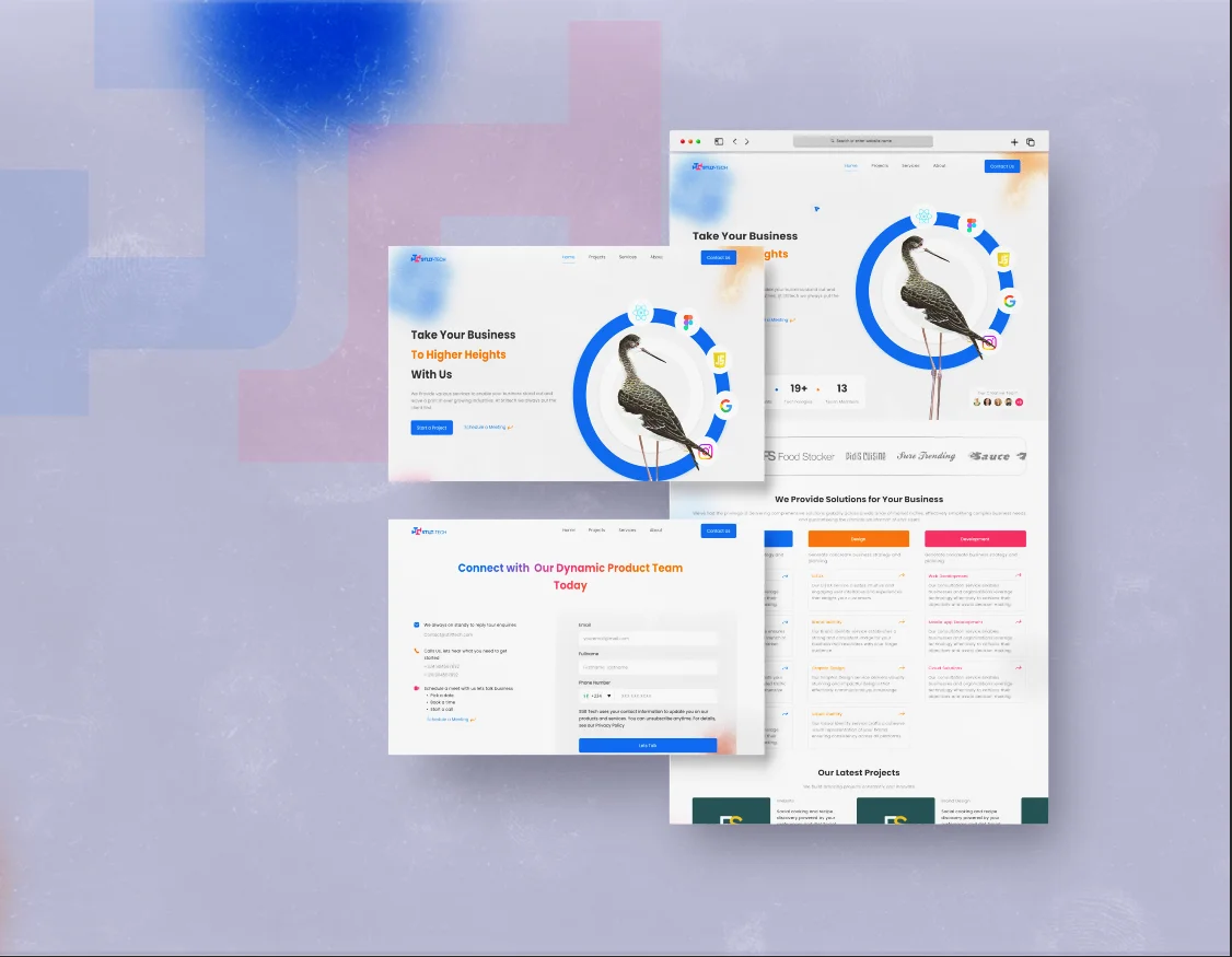 Stilt-tech's Website Design and Development screenshot